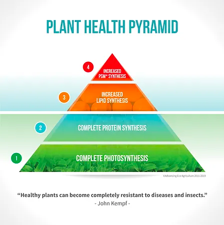 The plant health pyramid