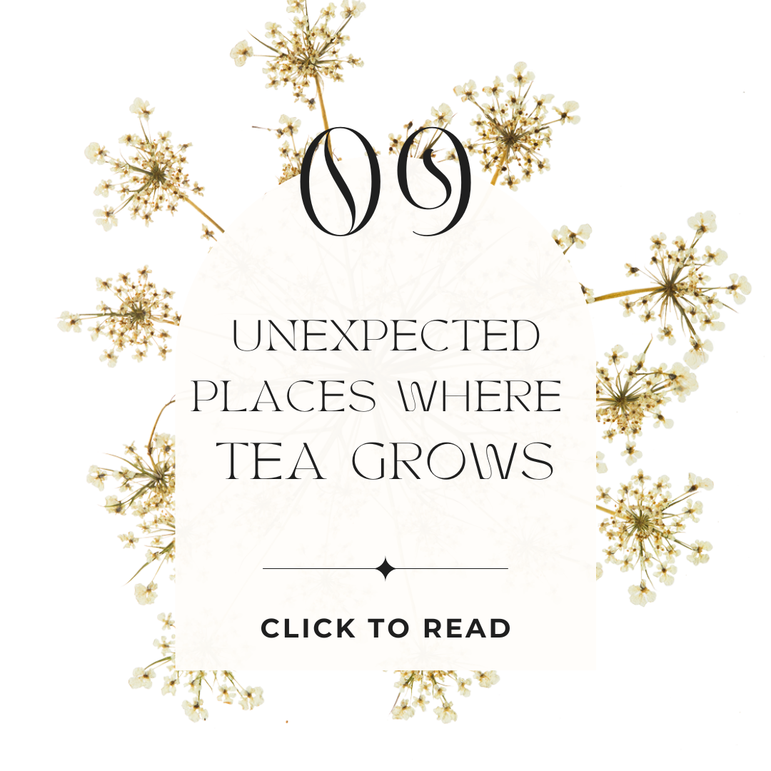 Day 9 - - 30 Days of Tea Challenge floral infographic