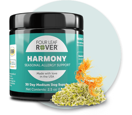 Four Leaf Rover - Super Premium Supplements for Dogs