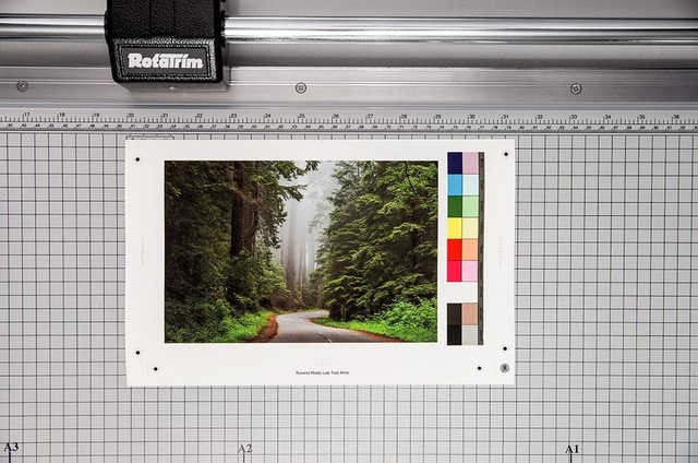 Film Developing and Photo Printing Lab Rewind Photo Lab