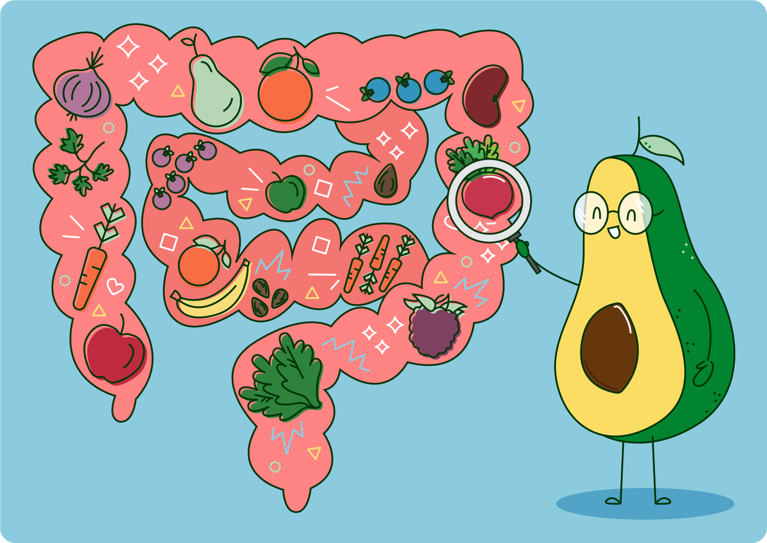 Illustration representing the human digestive system