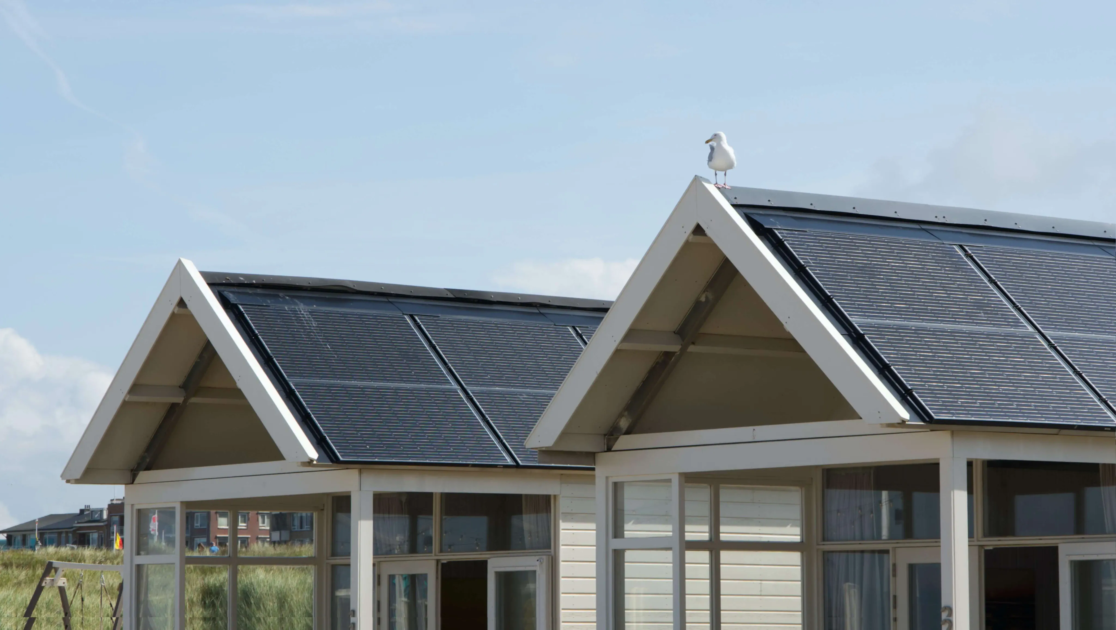 Solar panels on a home with a seagull perched on the ridge