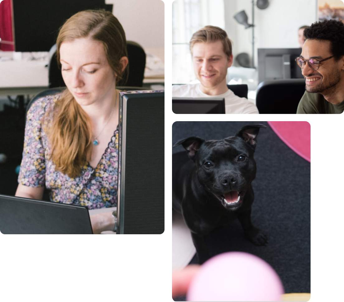 A collage of three images in an office, young woman working on a laptop, two men working together and looking at the screen, a dog smiling at the camera