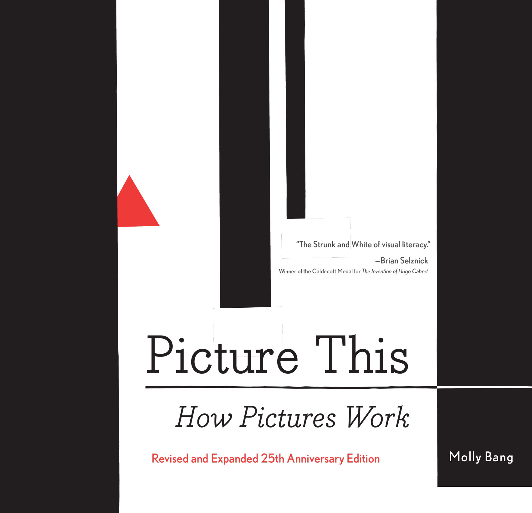 Cover of Picture This: How Pictures Work by Molly Bang