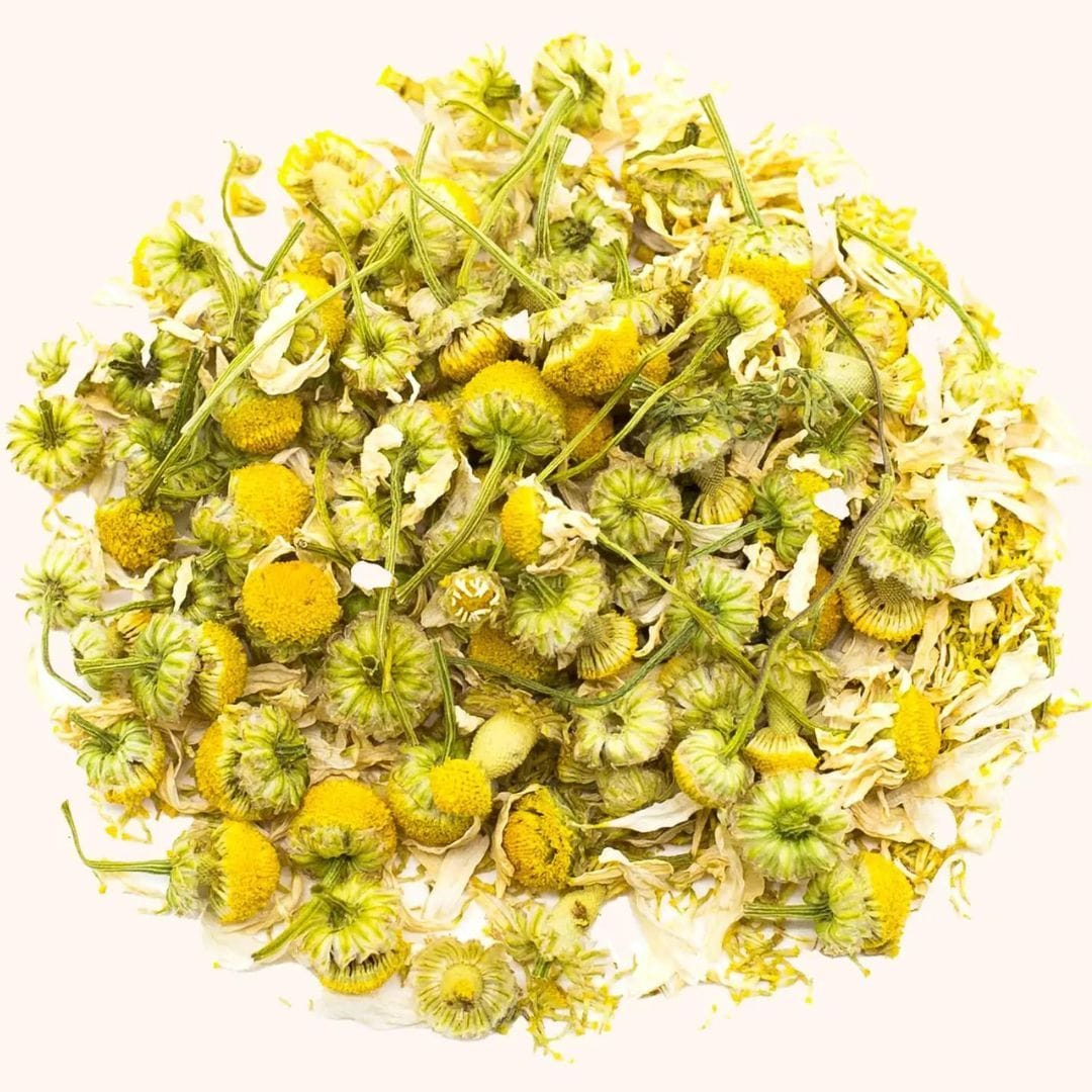 Chamomile herbal tea loose leaf tea sample circle for Chamomile Tea Shop