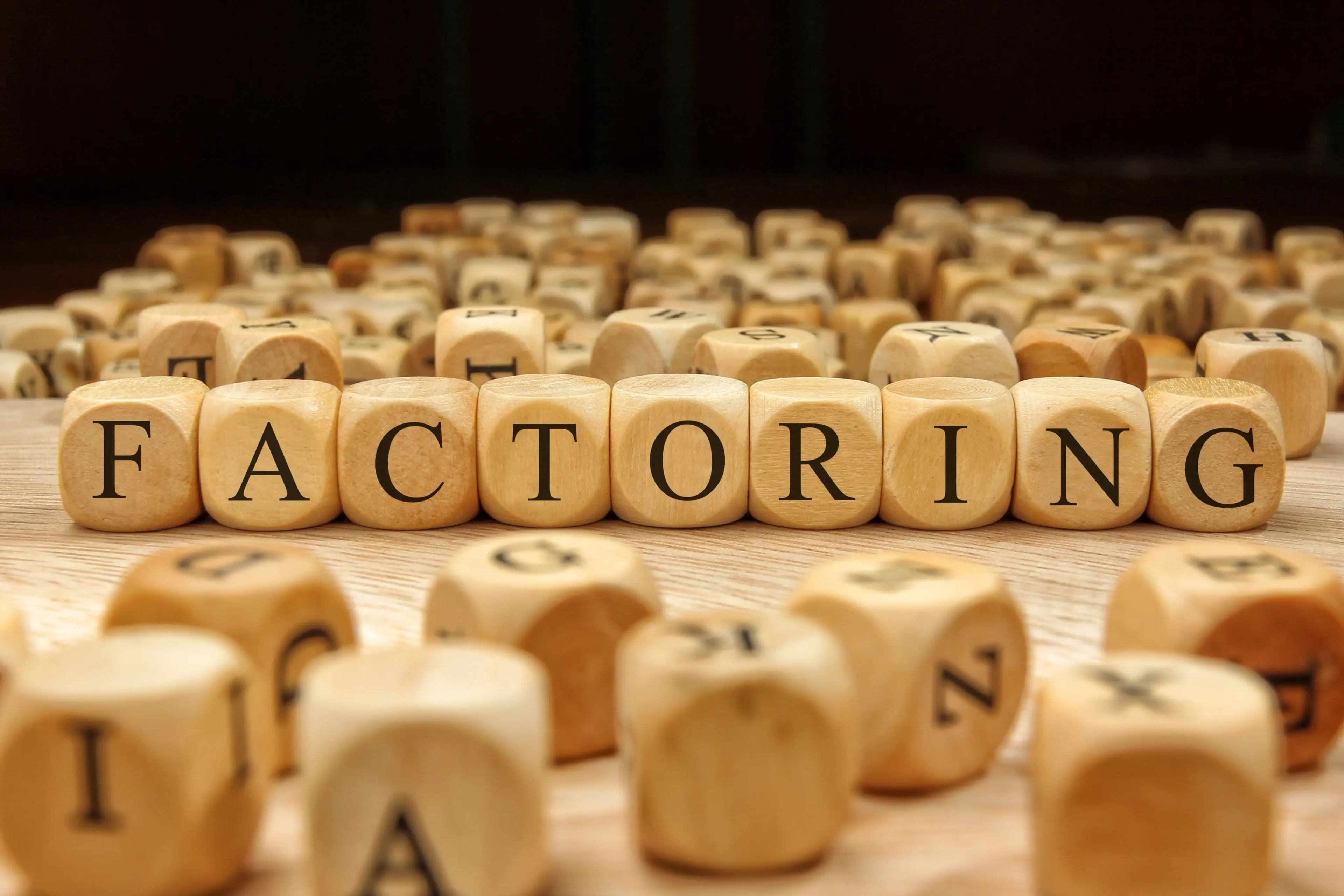 Factoring spelled out with wooden blocks