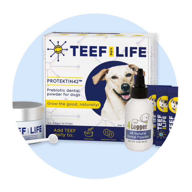 natural dog supplies