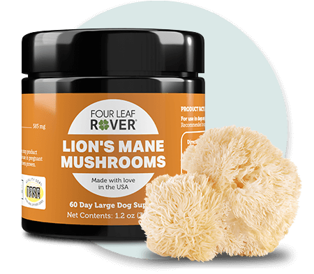 Four Leaf Rover - Super Premium Supplements for Dogs