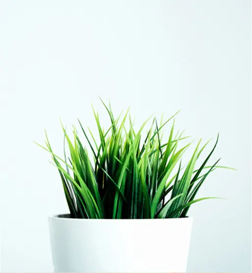 Grow Green