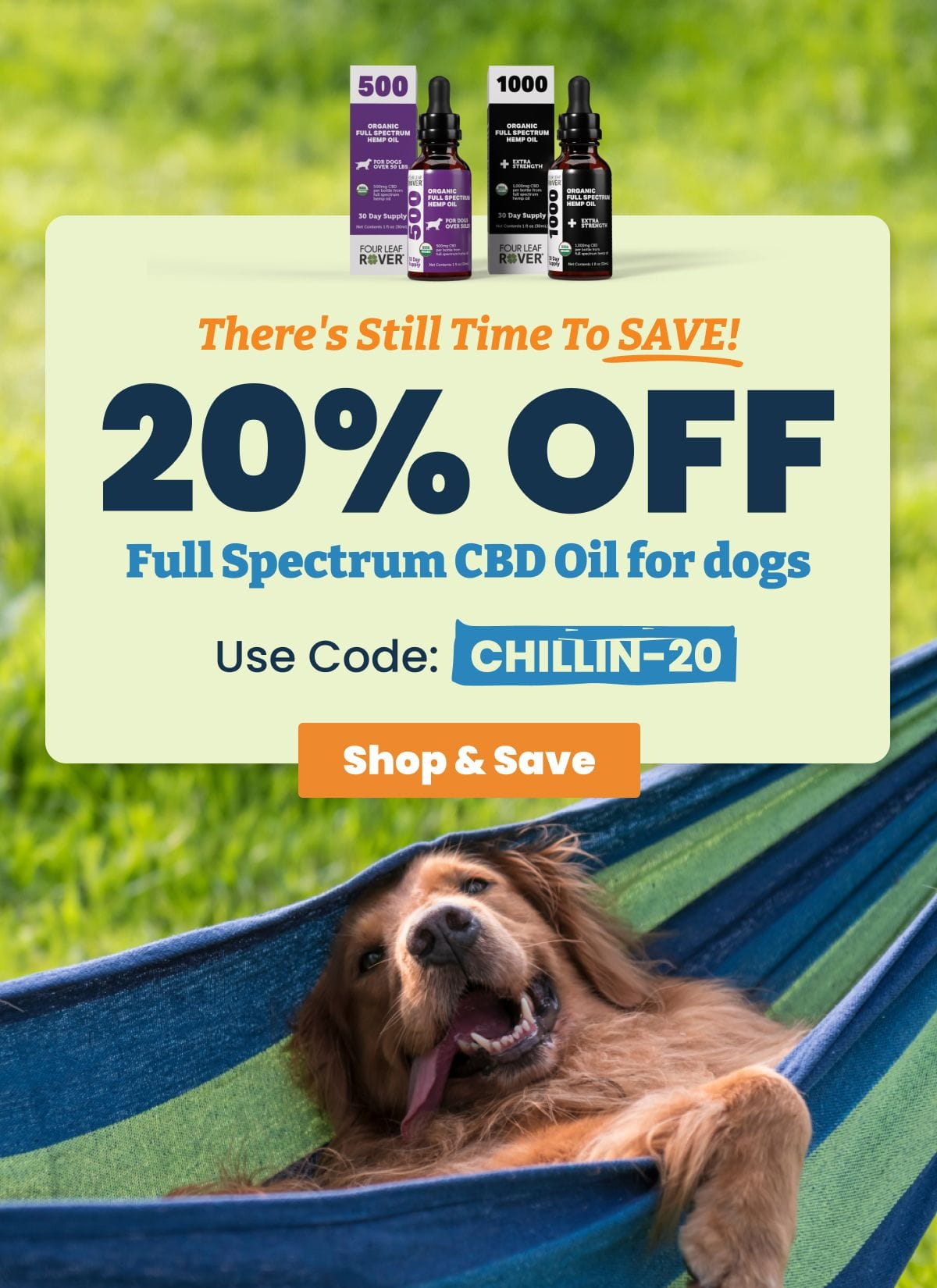 the natural dog store