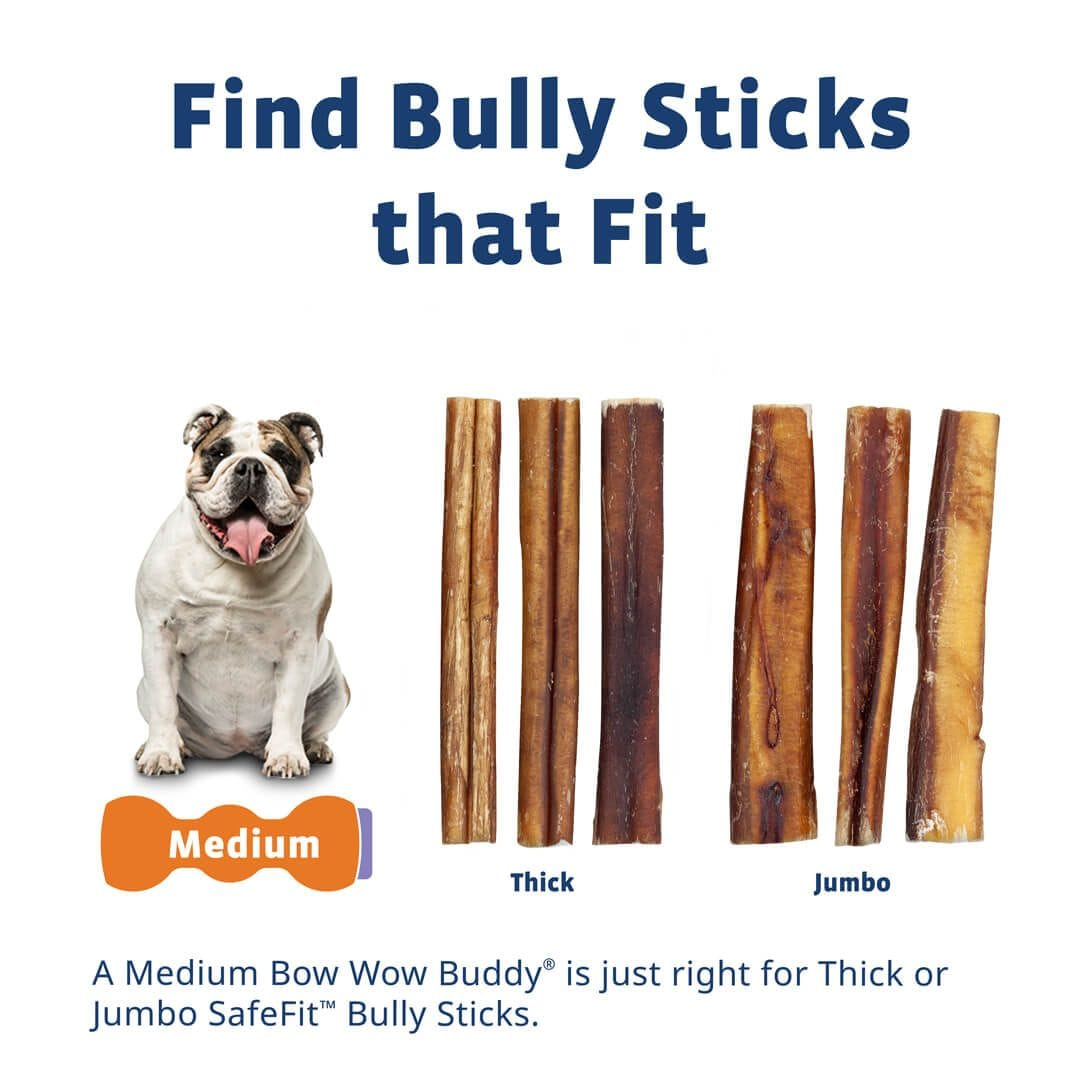 bow wow labs medium size chart