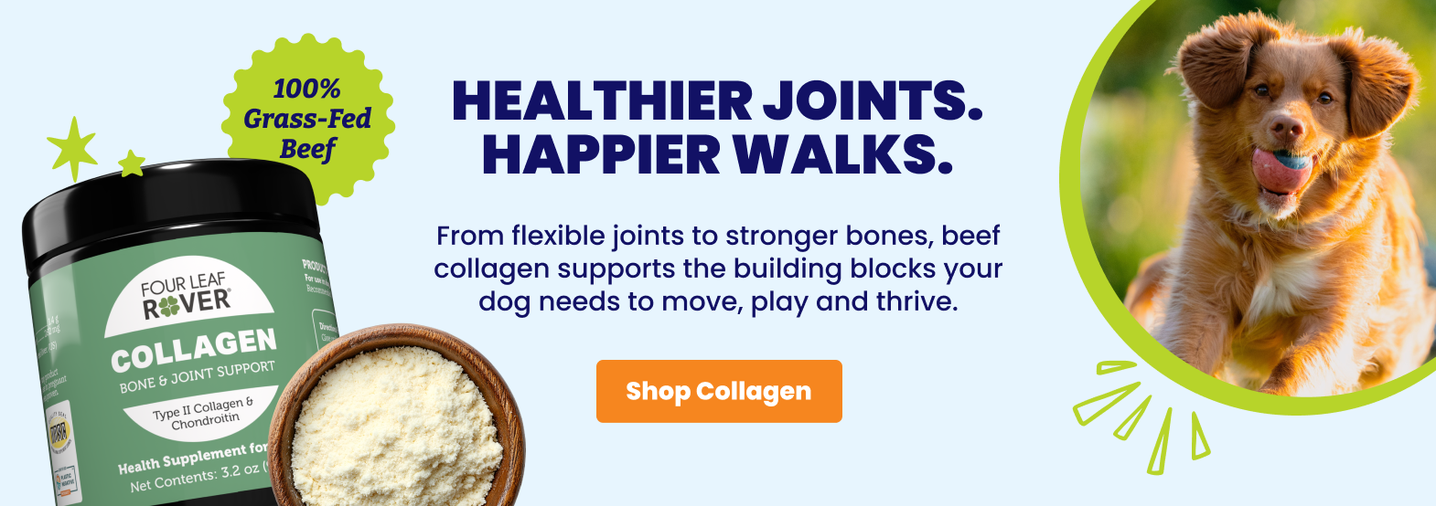 the natural dog store