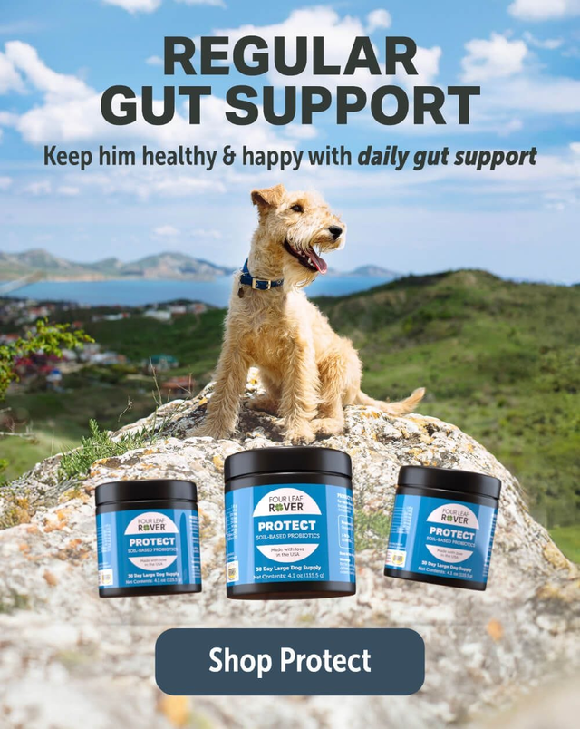Image showcasing Probiotics for Dogs – Daily Gut Support with Vet Formulated Protect