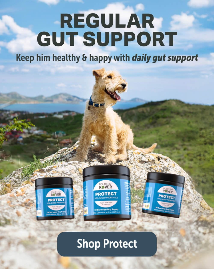 join-our-pack-become-a-wholesaler-today-learn-more