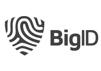 BigID Logo