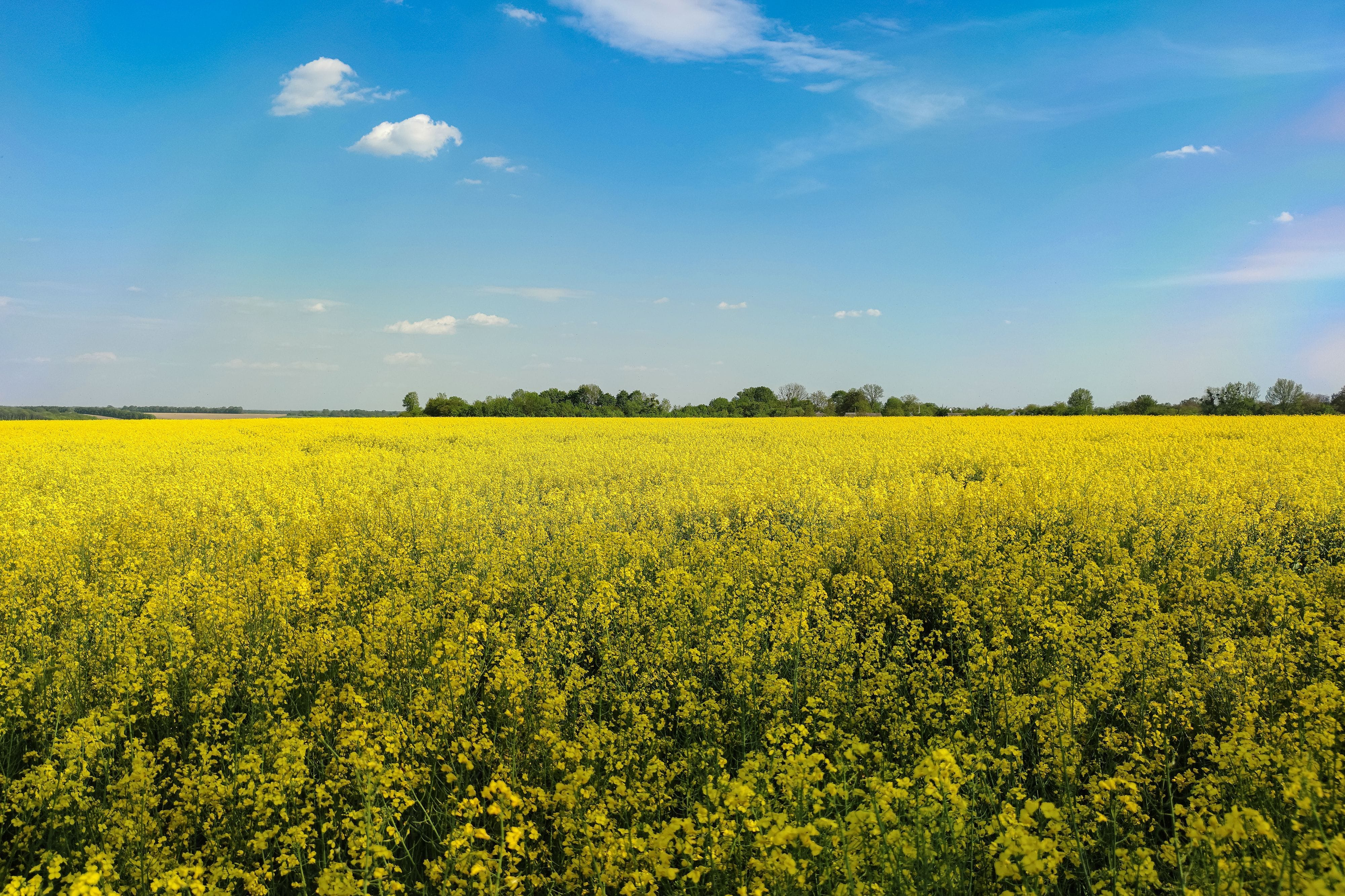 Agriculture banner