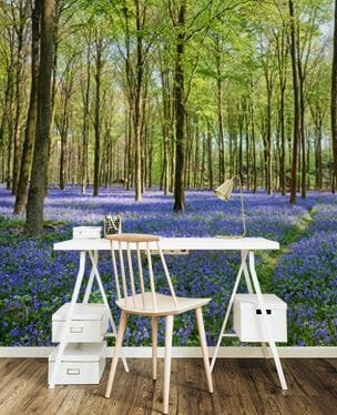 bluebell forest wall mural in an office 