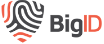 BigID Logo