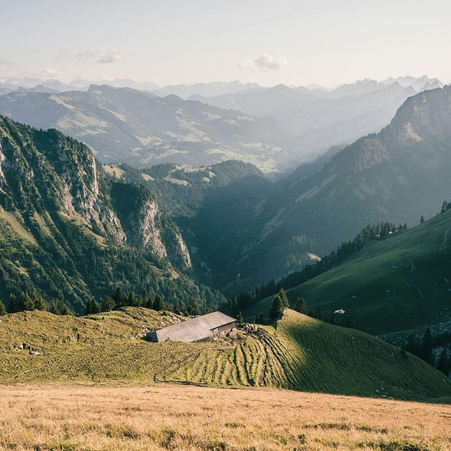 Why Date Bars Are A Great PreWorkout & PostWorkout