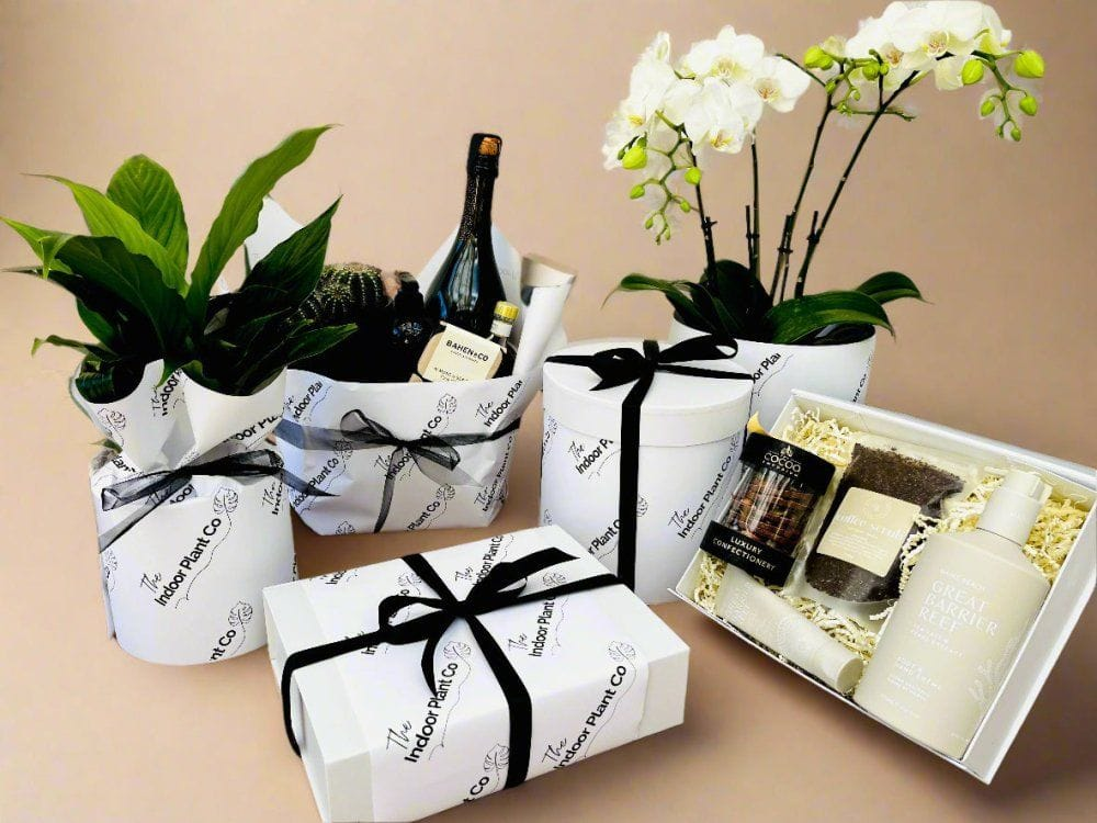 Branded gift box containing a plant, book, and accessories