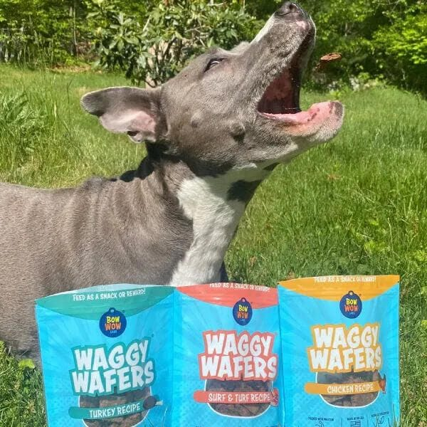 waggy wafers