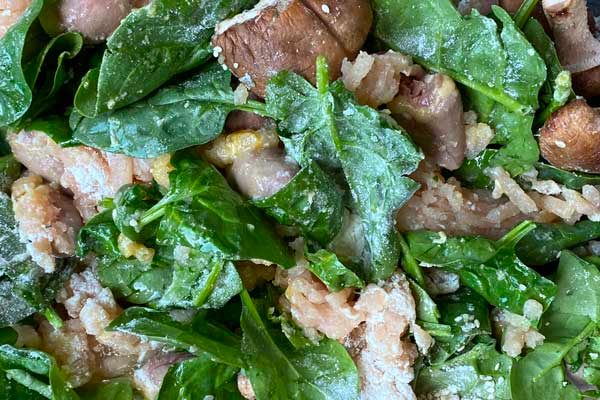 Chicken Adult Recipe