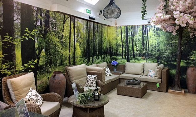 forest wallpaper mural in a garden centre