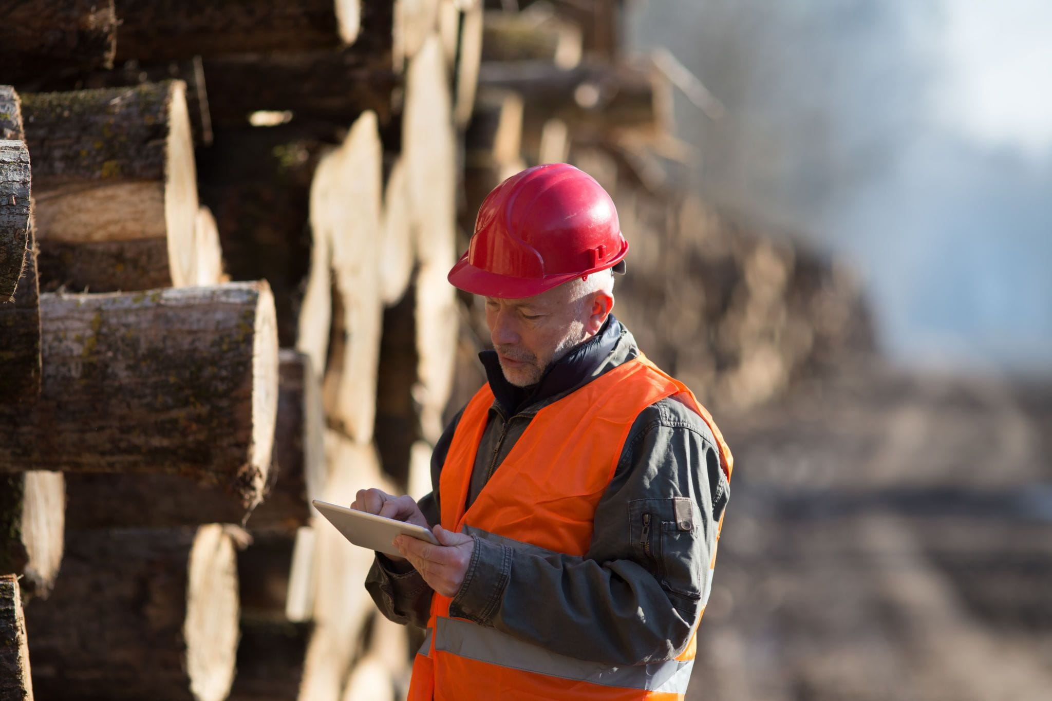 Construction worker near lumber