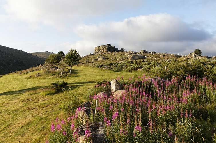 Le Sentier des Douaniers (GR®34)