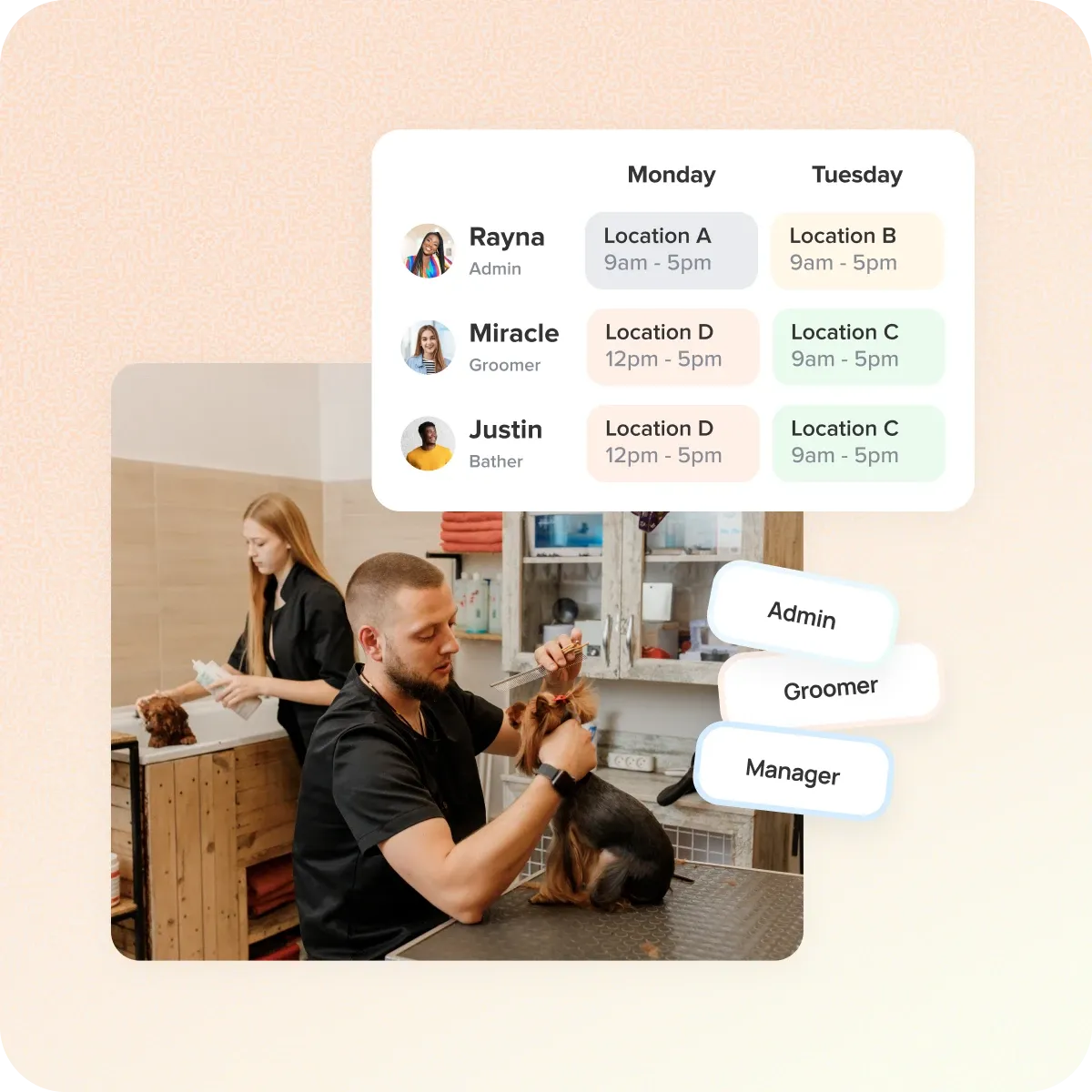 MoeGo sales overview feature