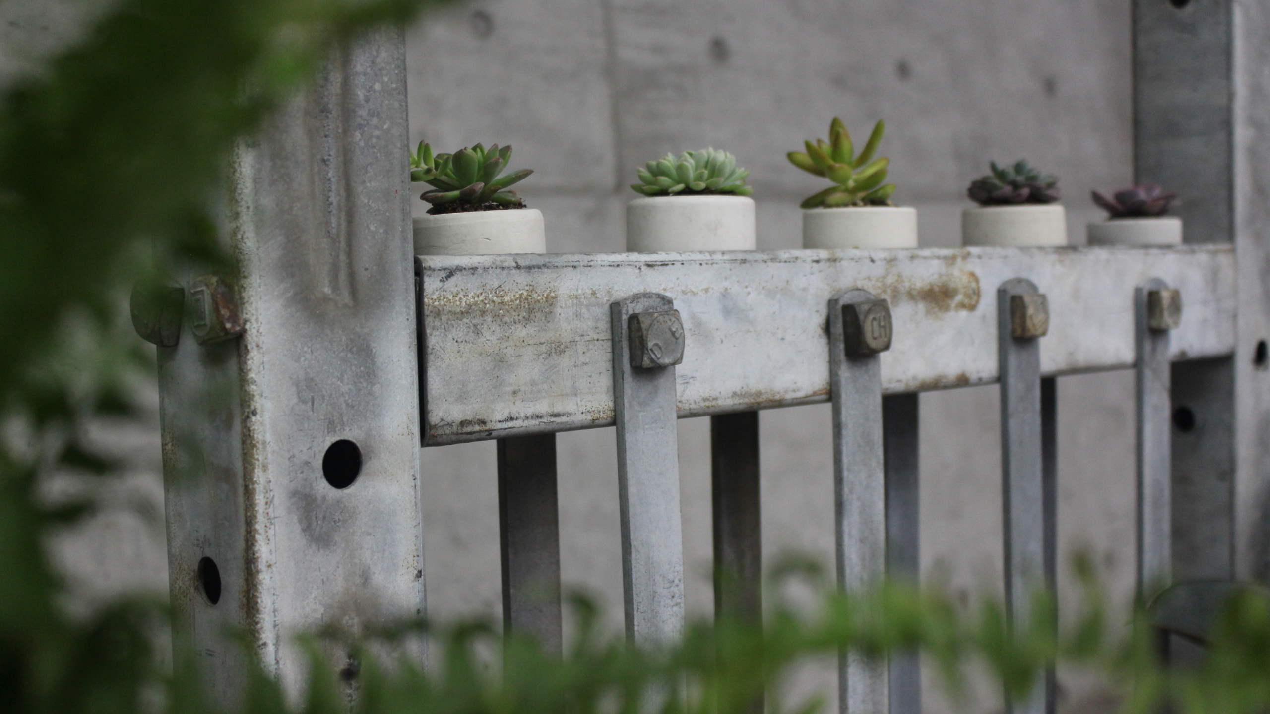 a sturdy gate-like iron structure holds several ceramic succulent planters