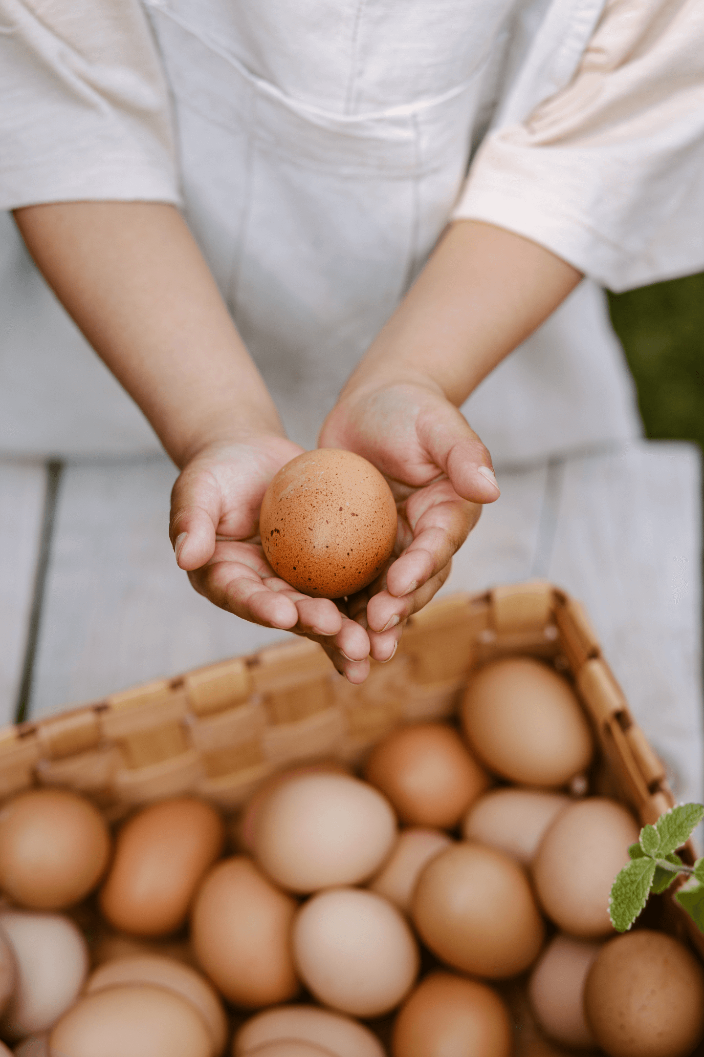 Wir verpflichten uns zu Qualität und Frische, um ausgewogene und natürliche Mahlzeiten für Kinder und Jugendliche sicherzustellen und setzen uns mit Engagement für eine gesündere Zukunft und den Schutz unseres Ökosystems ein