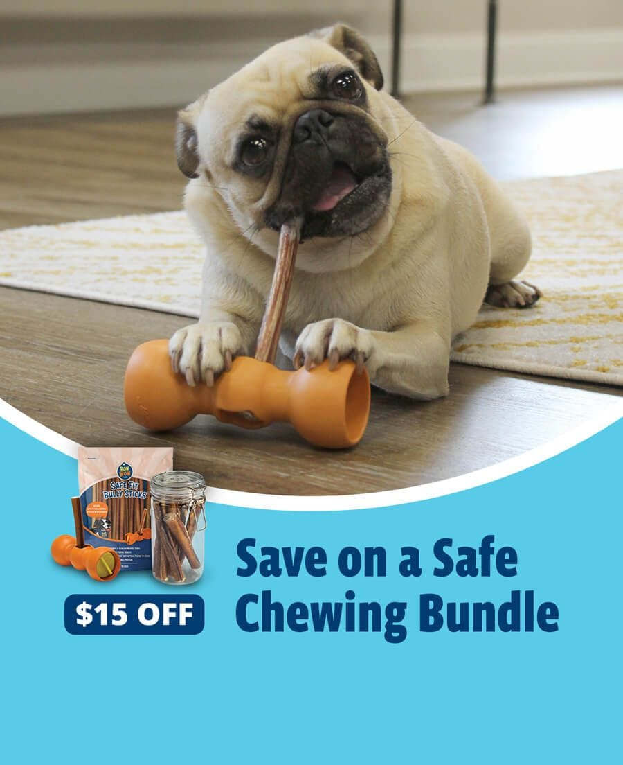 save 15% on a bow wow buddy starter kit