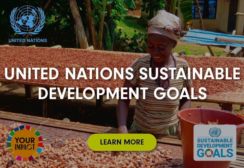 UN Sustainable Goals