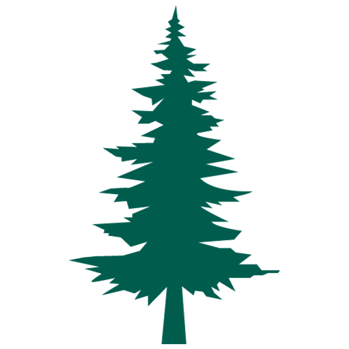 Green drawing of a pine tree