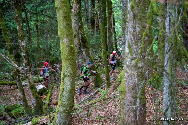 Trail Chartreuse Terminorum