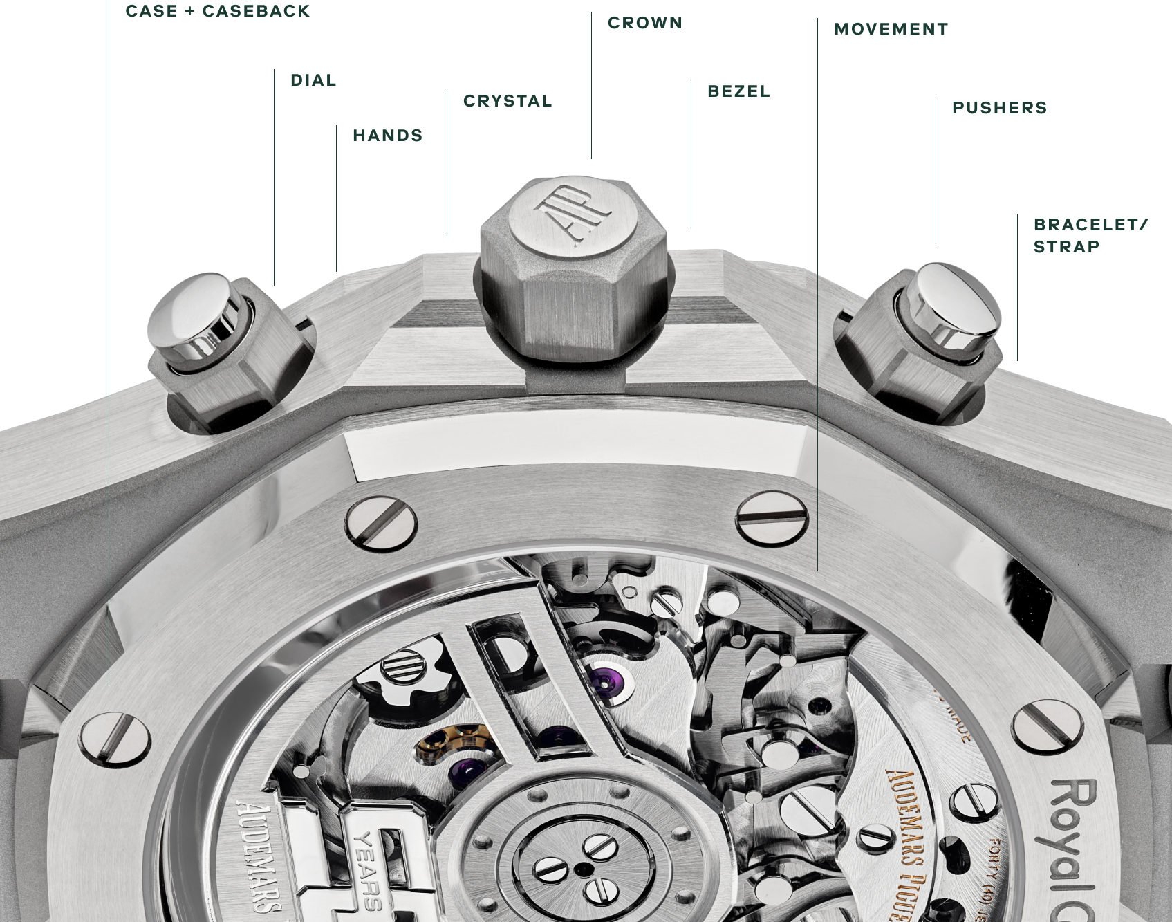 close up shot of a silver watch with labels for various parts