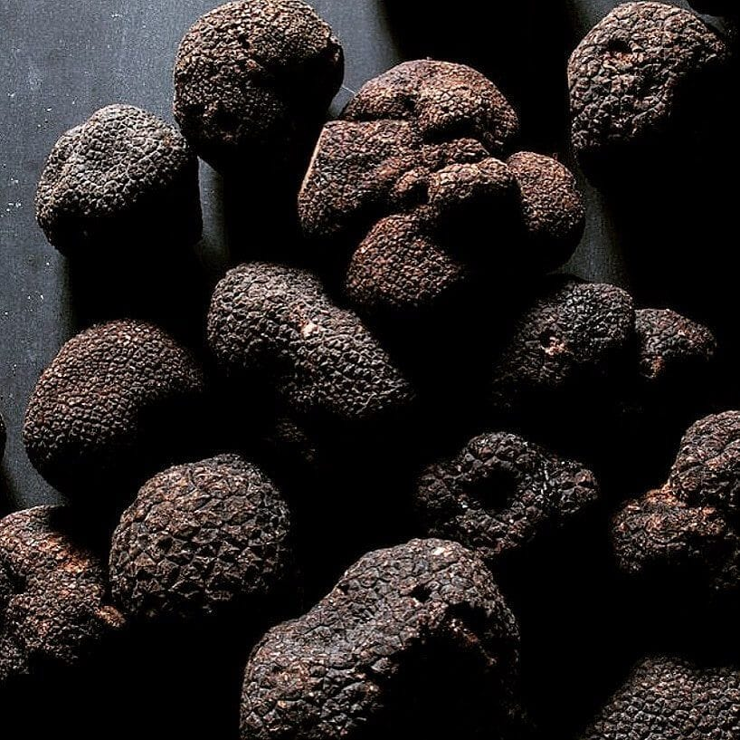 black truffles