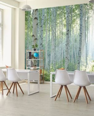 birch forest wallpaper murals in a SEN school classroom