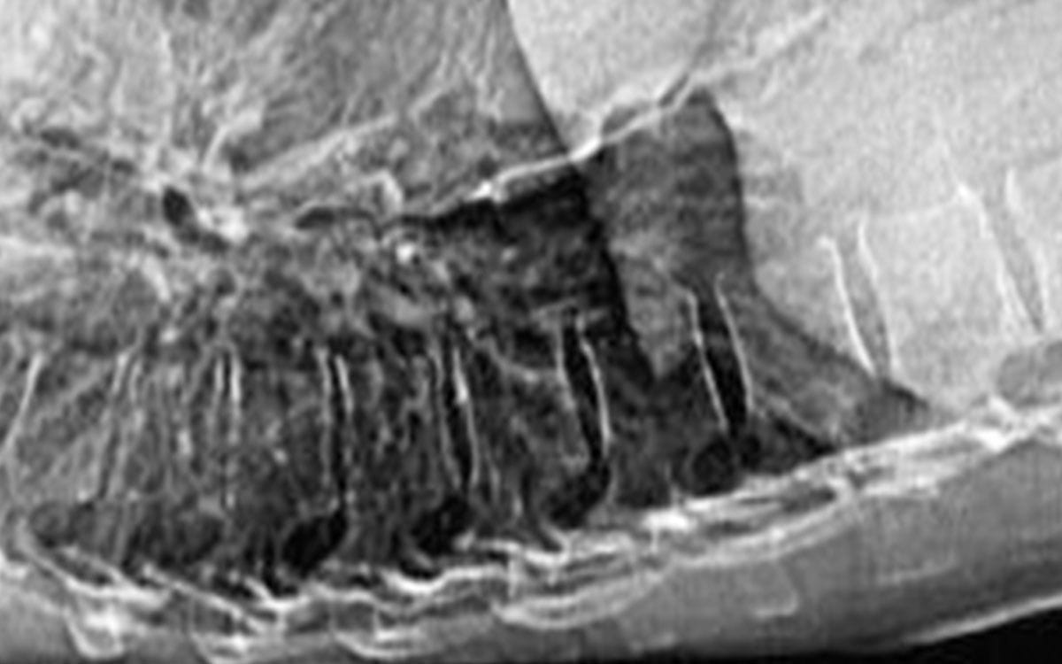 The Women’s Imaging Center