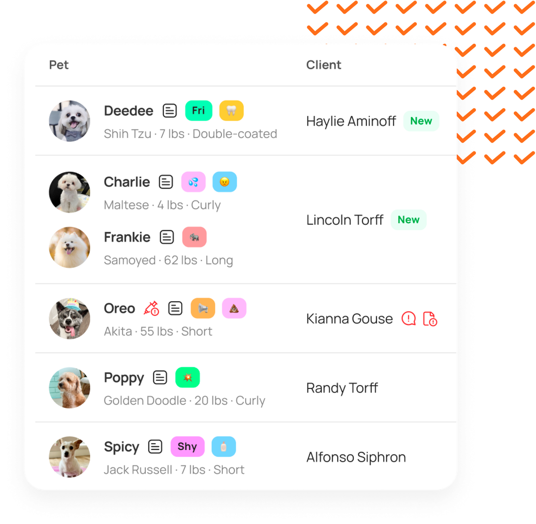 dog-daycare-software-all-in-one-tool-moego