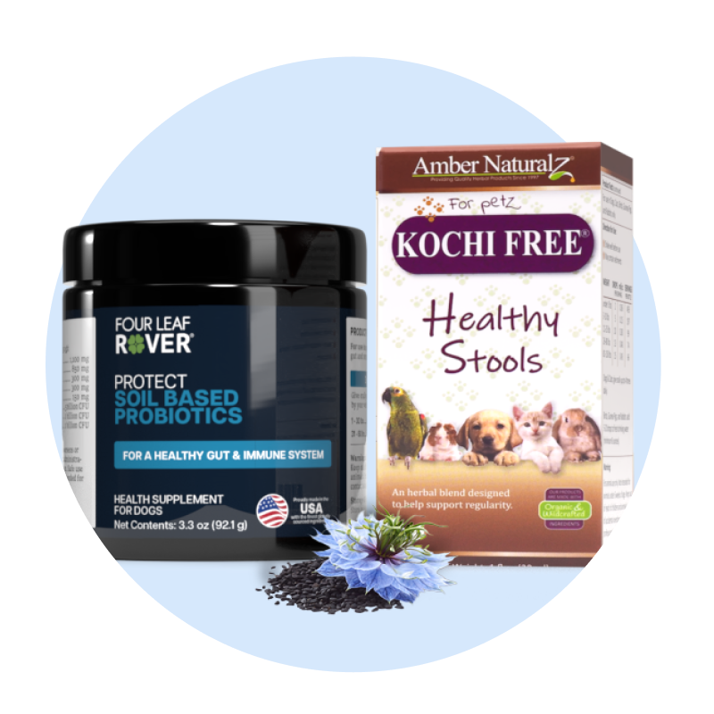 gut health