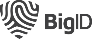BigID Logo
