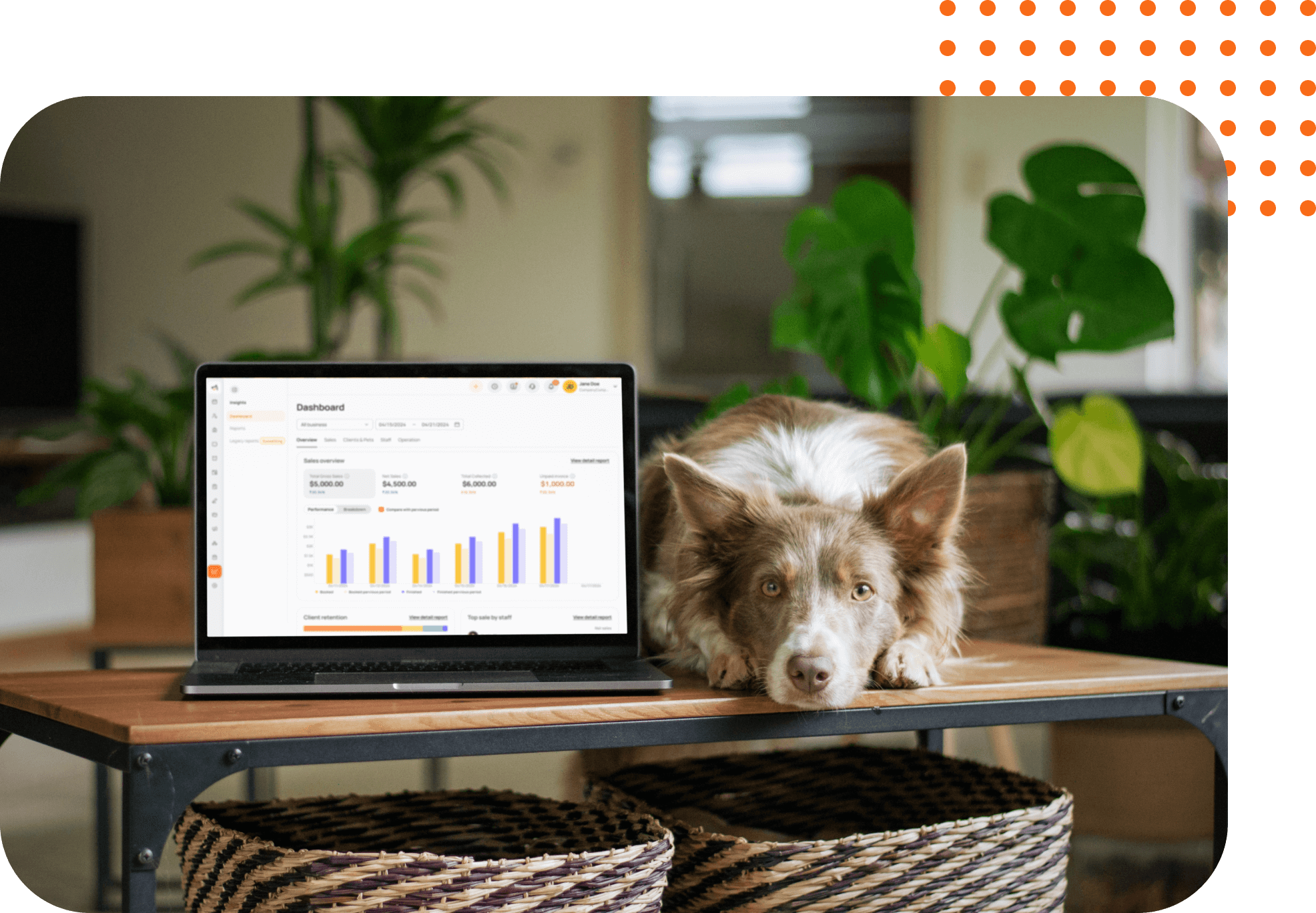 A dog on a table with MoeGo dashboard