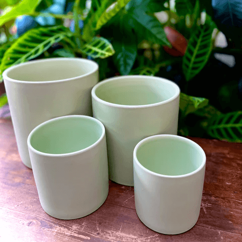 Green plant pots