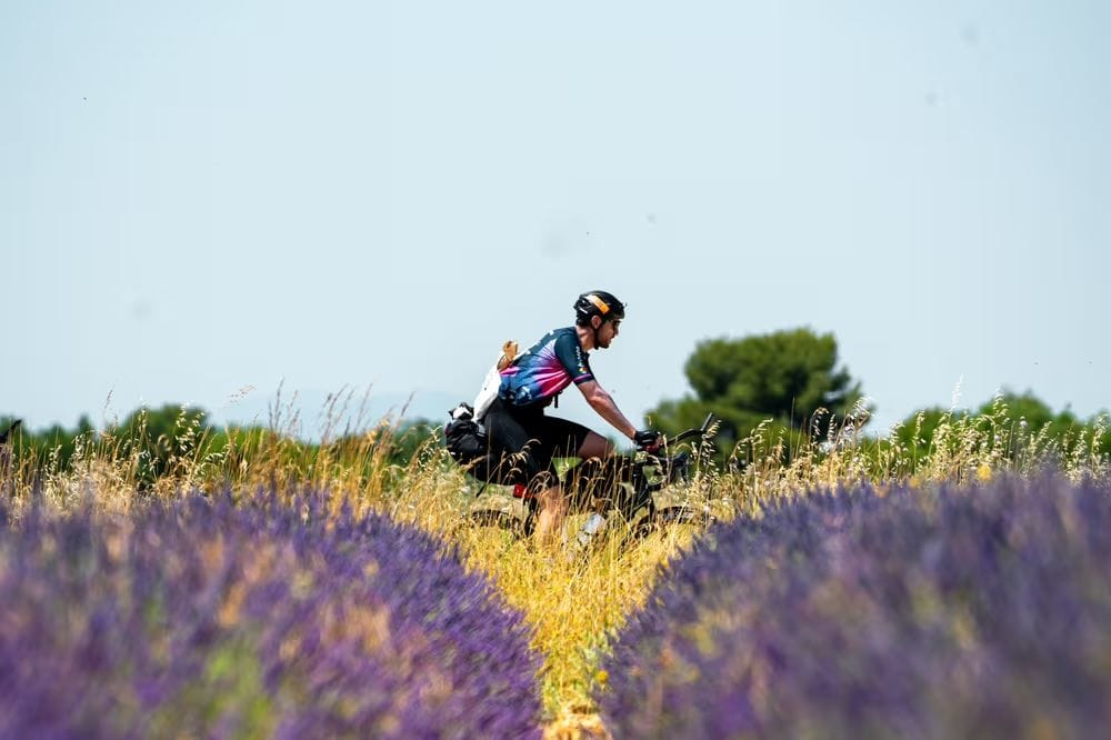Race Across France cycliste dans un champs de lavande