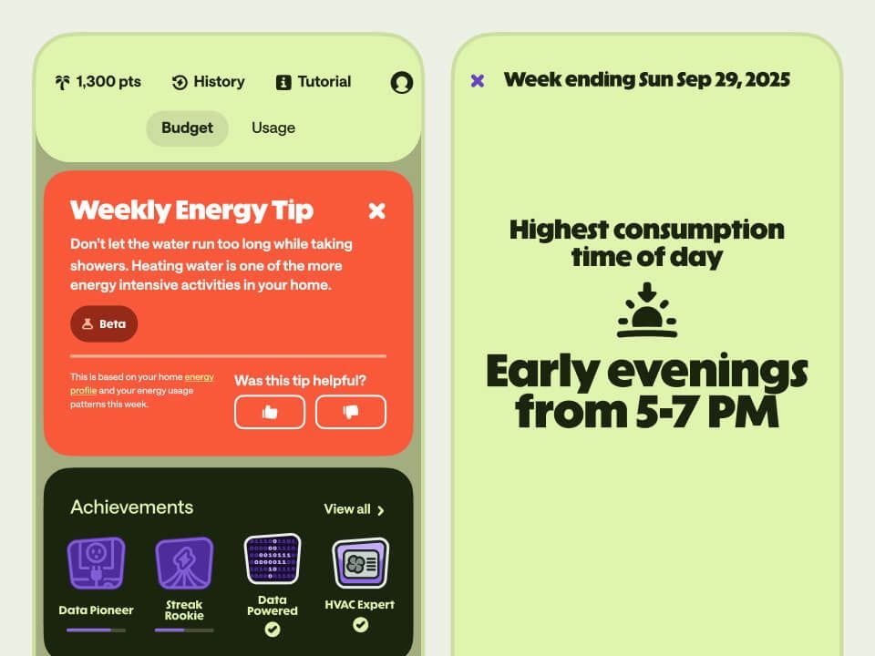 Screenshots of the Palmetto App with an energy tip and insight
