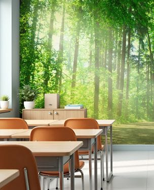 forest wallpaper murals in primary school classroom
