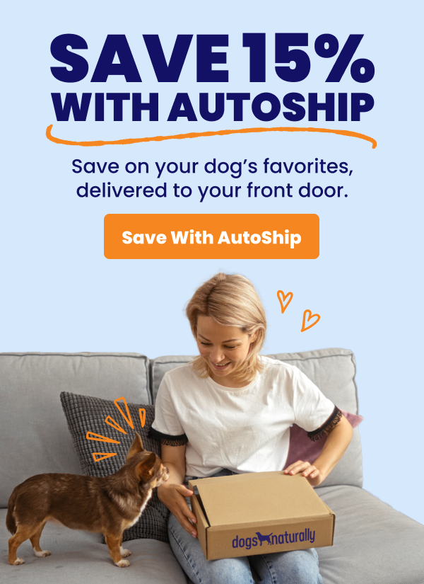 the natural dog store