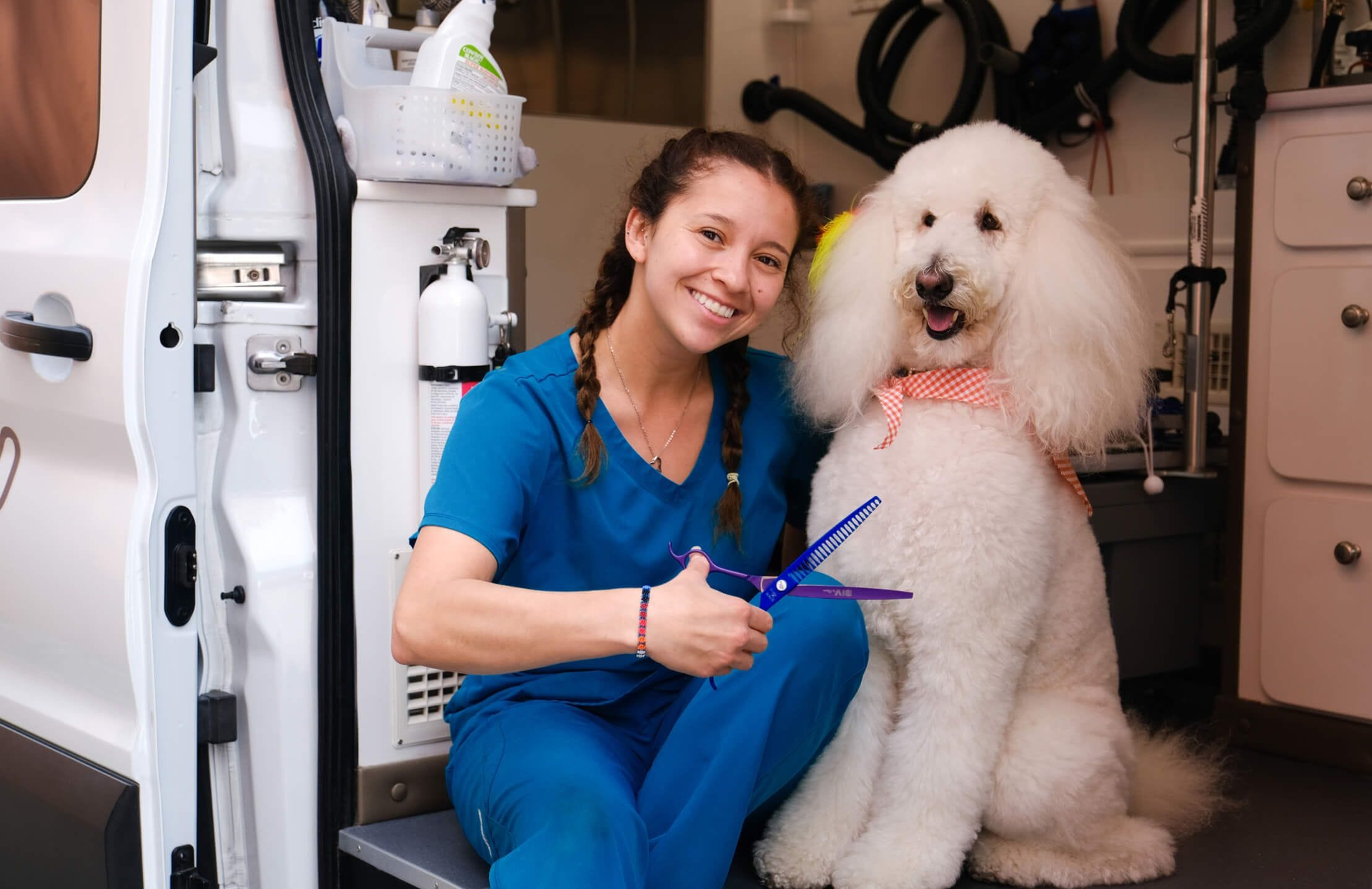 A young woman pet grooming a white dog